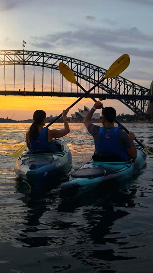 Sydney Sunrise Kayak Tour on Sydney Harbour - Meeting at 30 Blues Point Rd, and What to Do When You Arrive