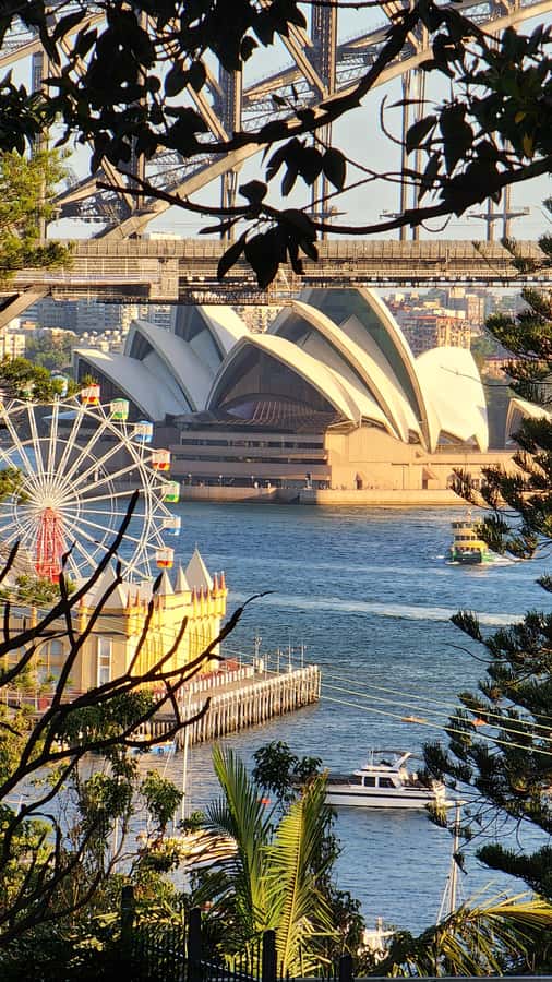 Sydney: Sunset Kayak - Opera & Harbour Bridge Tour (5p. max) - Harbour Bridge at sunset: timing, positioning, and photos from the water