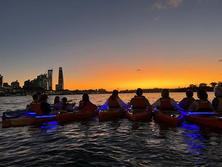Sydney: Sunset Kayak Tour on Sydney Harbour - Key Things to Know Before You Go