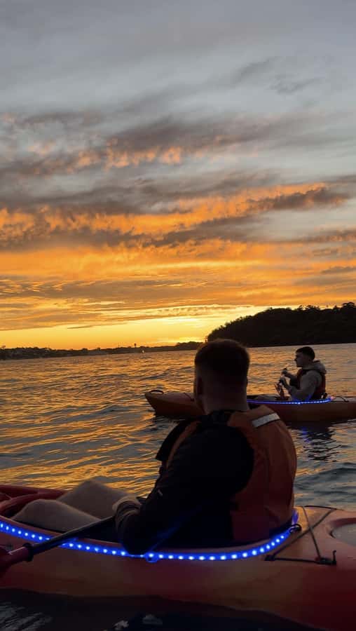 Sydney: Sunset Kayak Tour on Sydney Harbour - The 1.5 Hours on the Water: Easy Paddling With Great Harbour Angles