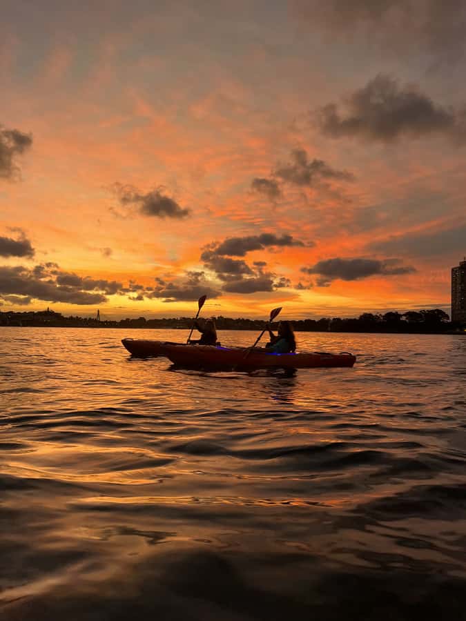 Sydney: Sunset Kayak Tour on Sydney Harbour - Small Group of 14: The Real Value of Not Being Packed In