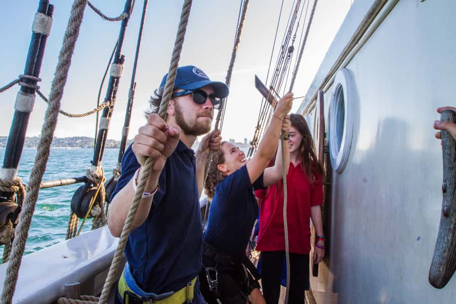 Sydney: Tall Ship Harbour Twilight Dinner Cruise - Price and Value: Why $77 Can Be a Smart Choice