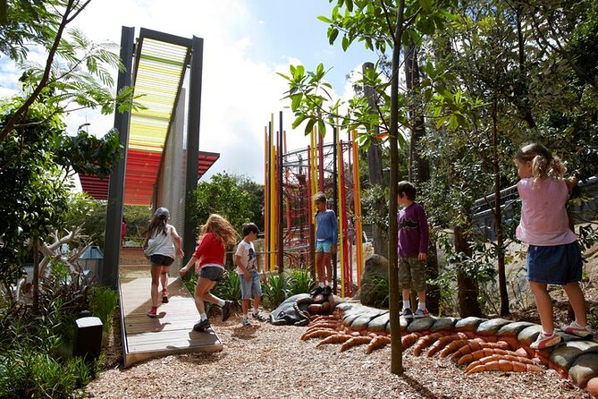 Sydney Taronga Zoo General Entry Ticket - Food, picnic space, and staying hydrated on hot or windy days