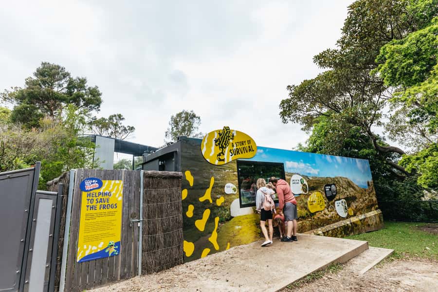 Sydney: Taronga Zoo Tickets - Food, rest, and the cashless reality