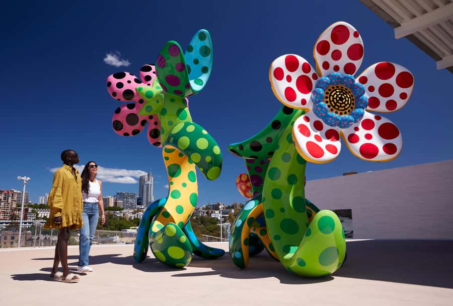 Sydney: Tickets & Tours at Art Gallery of New South Wales - Key things to know before you go