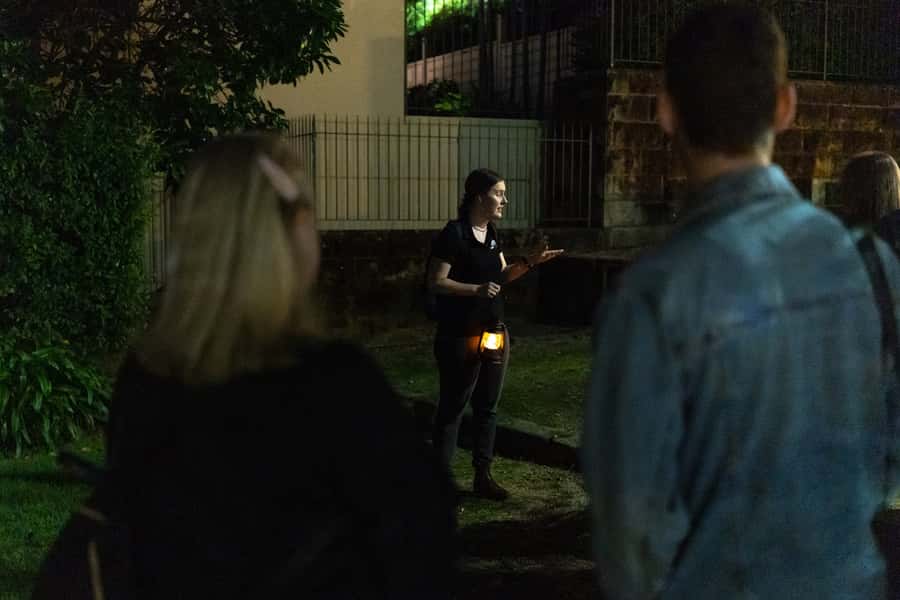 Sydney: True Crime Tour - Walking Comfort and Timing, What to Plan for