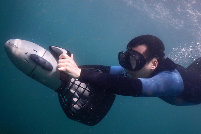sydney underwater scooter tours - The 90-minute Clovelly marine-life session you will actually remember
