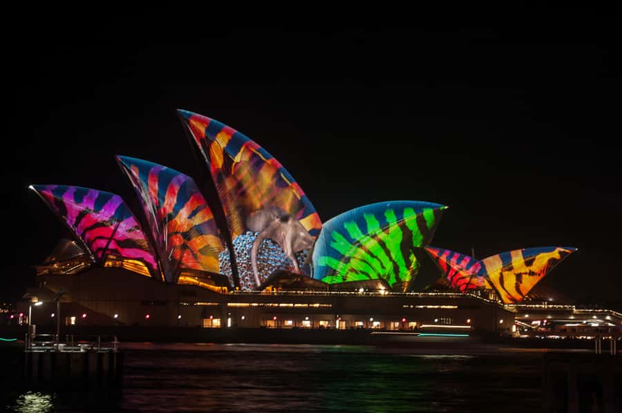 Sydney: Vivid Festival of Light Harbor Cruise with Dinner - Vivid Sydney From the Water, Not the Ticket Line