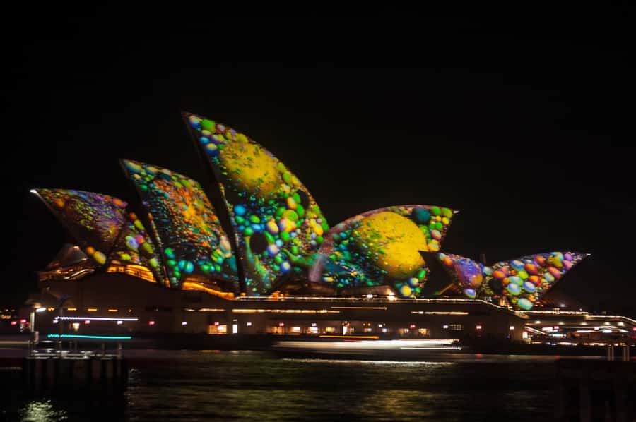 Sydney: Vivid Festival of Light Harbor Cruise with Dinner - Where You Meet: King Street Wharf 6 and the Right Boat