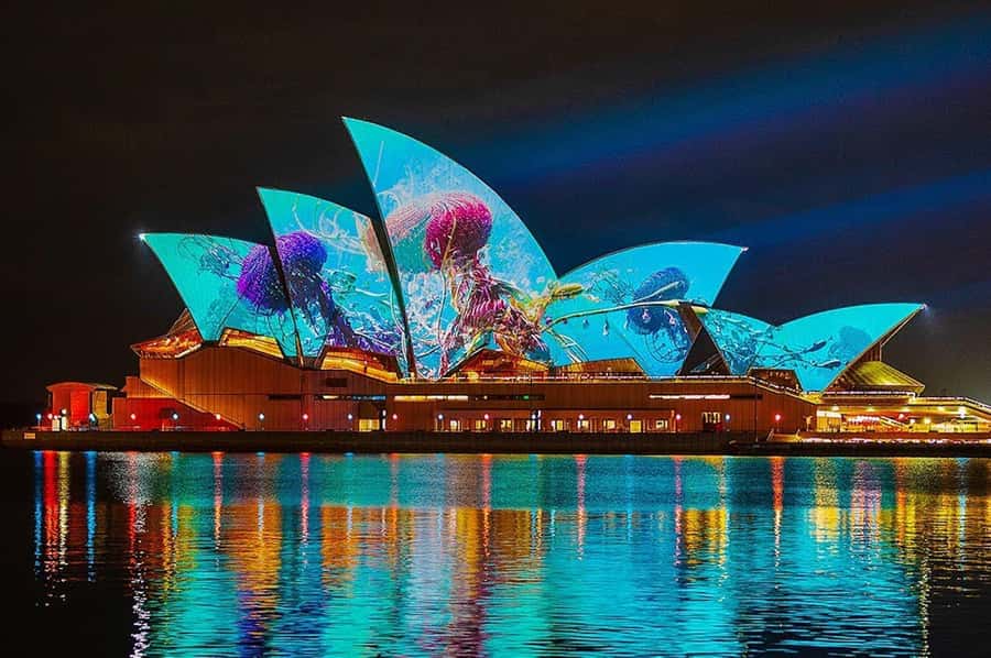 Sydney: Vivid Harbour Cruise with Canapes - Why Vivid Looks Better From a Catamaran at Night
