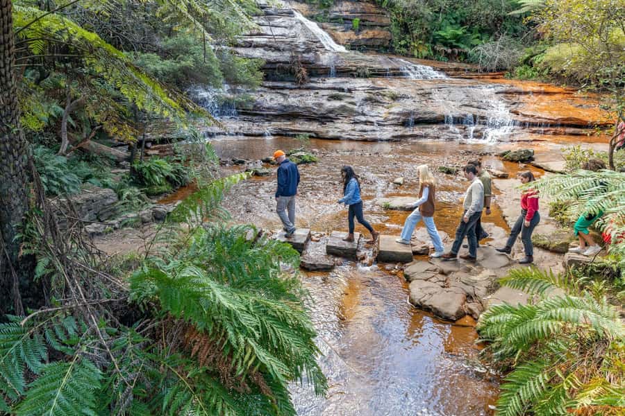 Sydney: Waterfall Bushwalk and Blue Mountain Sunset Day Trip - First Stops That Break Up the Drive: Scenic Views and a Wildlife-Friendly Break