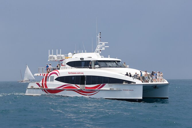 Sydney Whale Watching - 2.5hr Discovery Cruise - The onboard approach: live commentary that helps you spot behavior