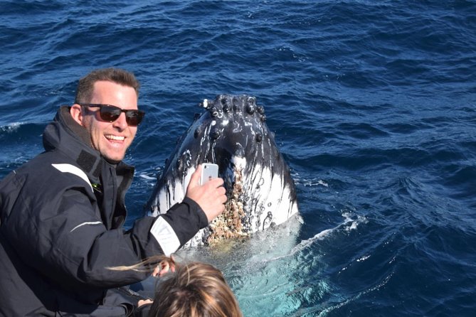 Sydney Whale-Watching by Speed Boat - Jackets, spray, and the real feel of a fast boat