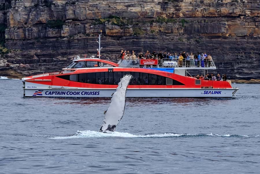 Sydney: Whale Watching & Hop On Hop Off Cruise Package - Opera House and Bridge Views, Plus Manly and Watsons Bay