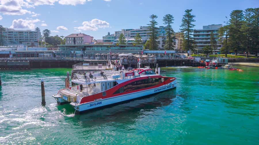 Sydney: Whale Watching & Hop On Hop Off Cruise Package - Practical Logistics You Should Know Before You Go