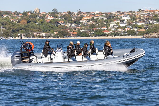 Sydney Whale Watching on Small RIB - Key things that make this Ocean Extreme whale watch worth your time