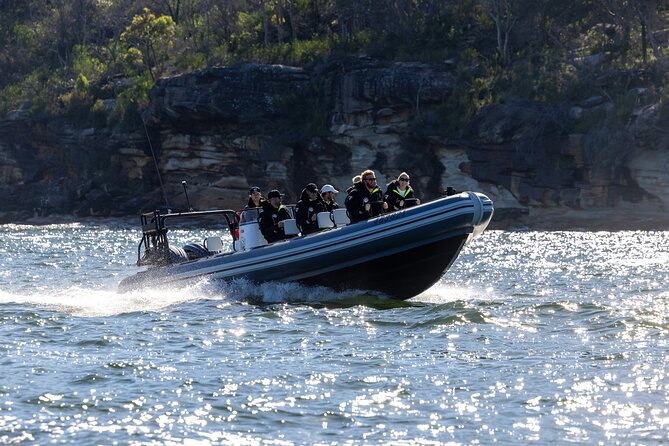 Sydney Whale Watching on Small RIB - A 12-passenger RIB makes Sydney whale watching feel personal