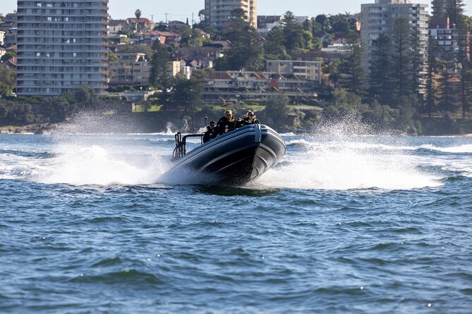 Sydney Whale Watching on Small RIB - The whale search area: what to look for and how the crew helps