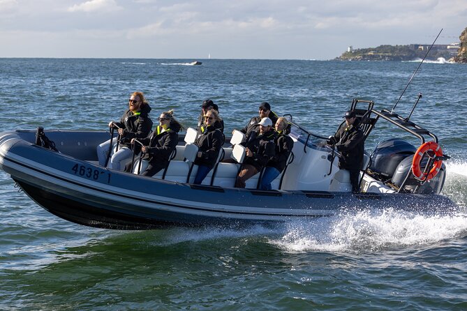 Sydney Whale Watching on Small RIB - Returning fast to Circular Quay while the views stay in play