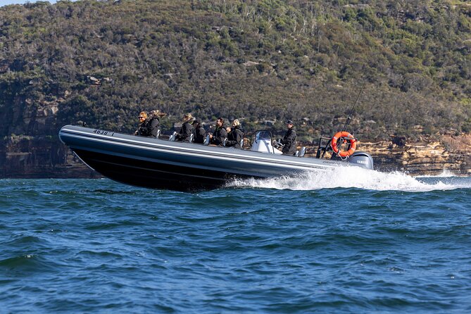 Sydney Whale Watching on Small RIB - Price and value: is $98.93 for a small RIB whale watch worth it?