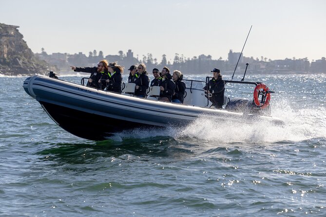 Sydney Whale Watching on Small RIB - Who should book this small RIB whale watch in Sydney