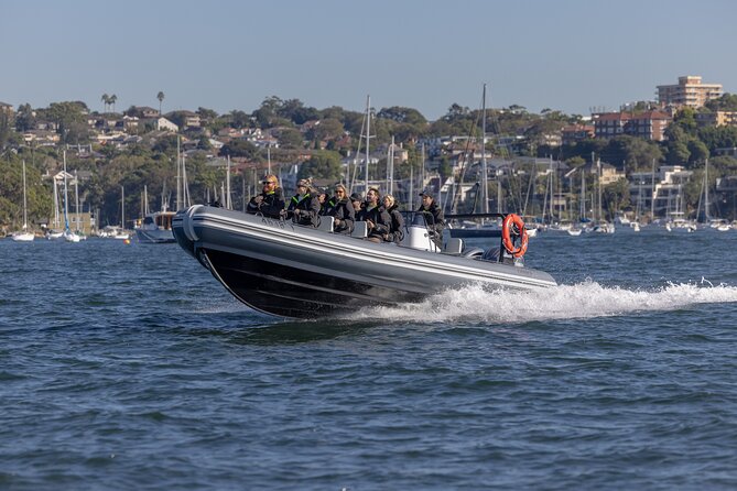 Sydney Whale Watching on Small RIB - Weather can make or break the plan, so check before you go