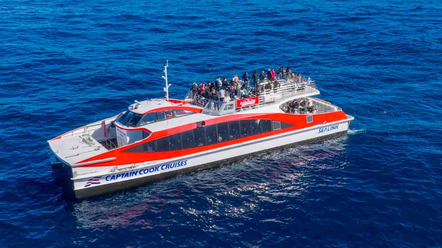 Sydney: Whale Watching & Wildlife Cruise - FAQ