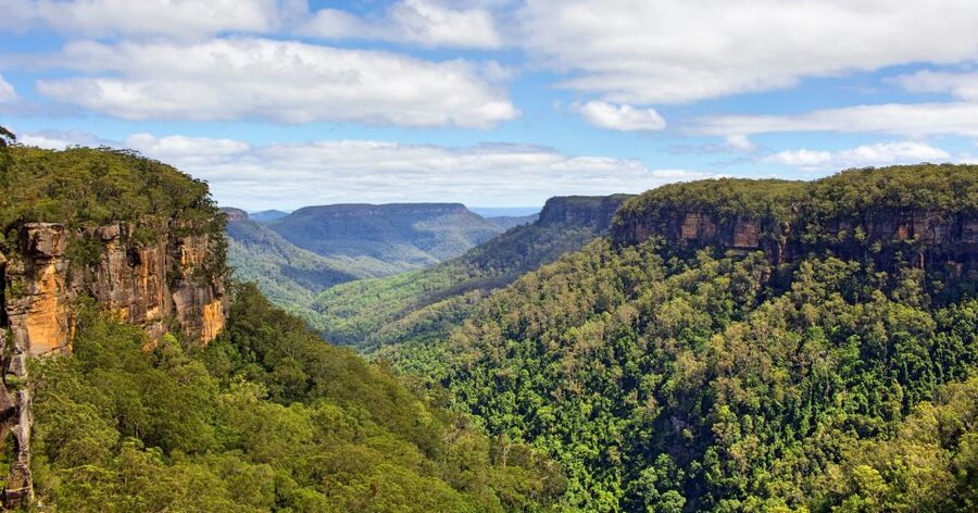 Sydney: Wildlife, Waterfalls and Wine Small Group Tour - Should You Book This Wildlife, Waterfalls and Wine Day?