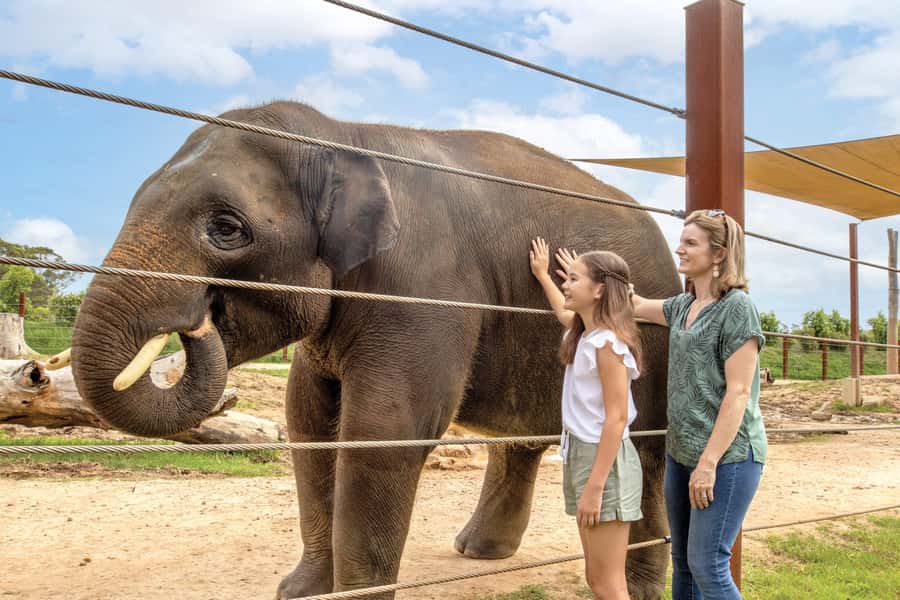 Sydney Zoo Admission Ticket - FAQ