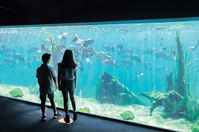 Sydney Zoo General Entry Admission Ticket - Zoo Plus Aquarium Value, Free Parking, and How the Price Adds Up