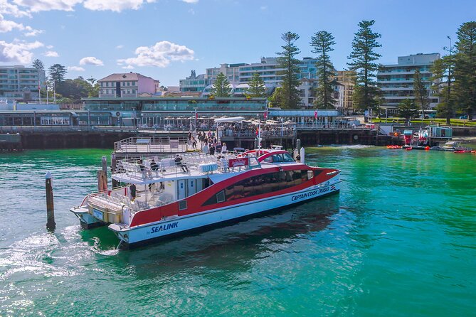 Taronga Zoo Entry & Sydney Harbour 2-Day Hop On Hop Off Cruise - Shark Island: the picnic and swim stop people love for scenery