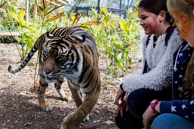 Taronga Zoo + Ferry Return Ticket - Key things to know before you go