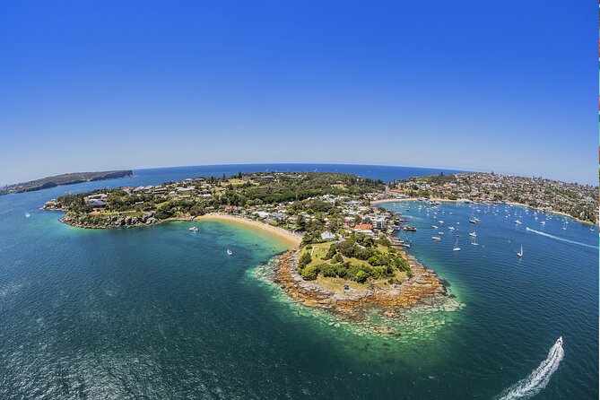 Taronga Zoo + Ferry Return Ticket - Food, comfort, and pace for a hilly zoo day