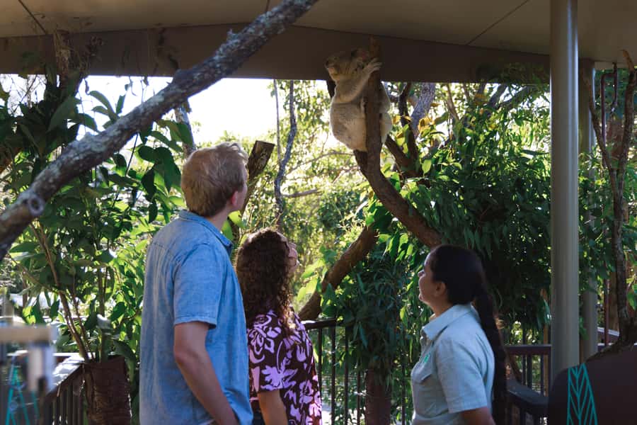 Taronga Zoo Sydney Wild Australia Experience - What you’re really buying: keeper-led wildlife access at Taronga
