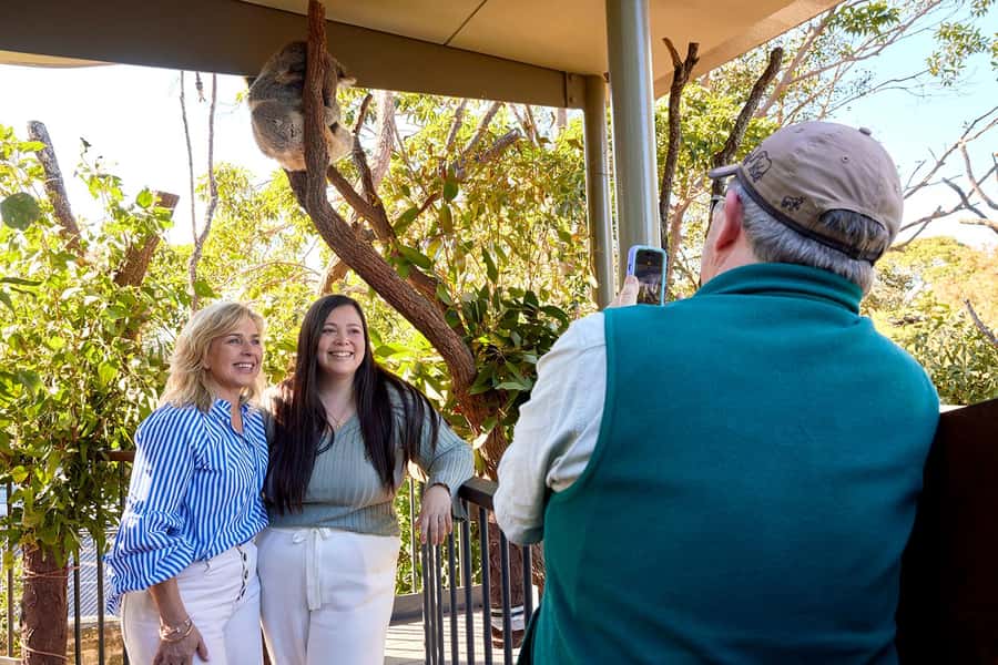 Taronga Zoo Sydney Wild Australia Experience - Australian Nightlife access: why nighttime animals change how you see the zoo