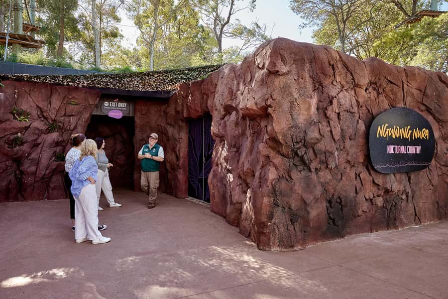 Taronga Zoo Sydney Wild Australia Experience - Guide style and small-group pacing: when you get attention, not a rush