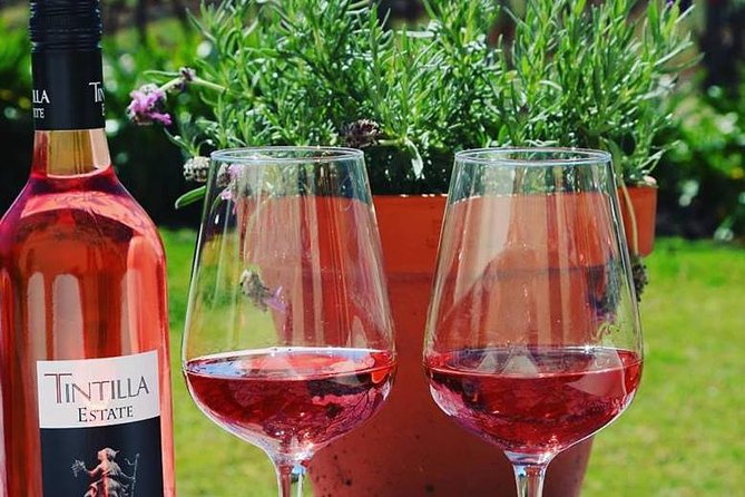 Tintilla Estate: Wine Tasting with a Meat and Cheese Platter - The 8-wine guided tasting: what you get, and how to enjoy it