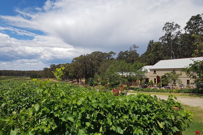 Tintilla Estate: Wine Tasting with a Meat and Cheese Platter - Sitting on the deck: timing your comfort around the Hunter Valley heat