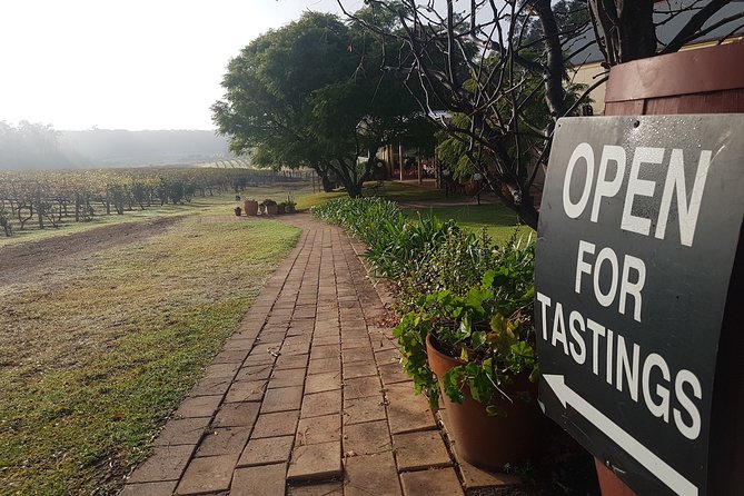Tintilla Estate: Wine Tasting with a Meat and Cheese Platter - Who this experience suits best, and who might want a different plan