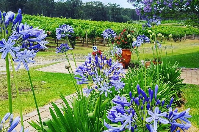 Tintilla Estate: Wine Tasting with a Meat and Cheese Platter - Small details that make the hour smoother
