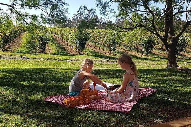 Tintilla Estate: Wine Tasting with a Meat and Cheese Platter - If something feels off: how to handle freshness, bubbles, and comfort