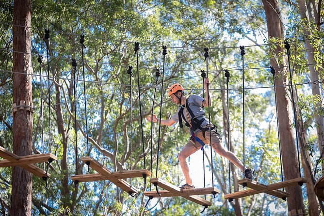 Treetops Adventure The Hills - Tree Ropes Course - Why this tree ropes course is such a good Sydney escape