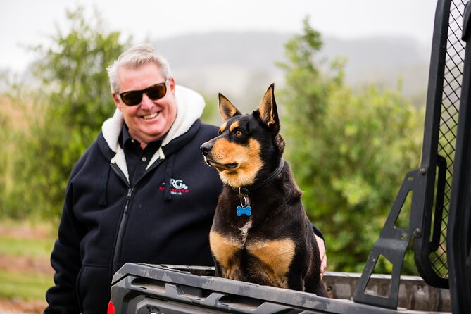 Truffle Hunt and Taste Experience in Oberon, NSW Australia - Weather, timing, and what a 3-hour plan really means