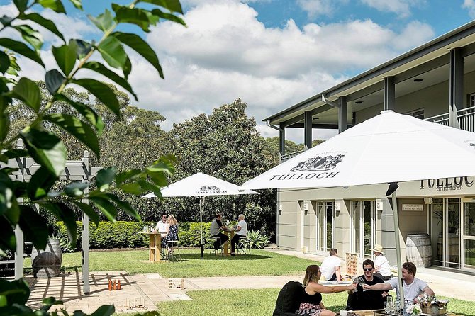Tulloch Wines- Tasting of 6 Pokolbin Dry Red Shiraz Vintages with Charcuterie - Where Tulloch Wines fits in Pokolbin, Hunter Valley