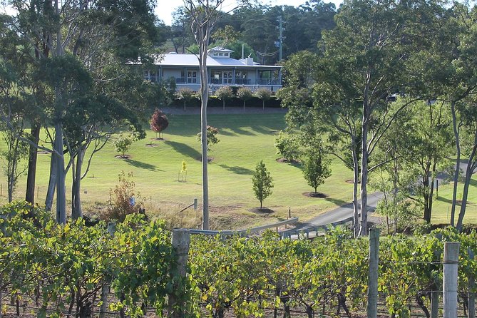 Tulloch Wines- Tasting of 6 Pokolbin Dry Red Shiraz Vintages with Charcuterie - Price and Logistics: Is $60.25 worth it for this one hour?