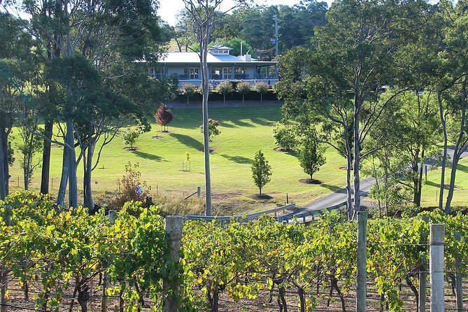 Tulloch Wines - Wine Tasting paired with Local Handmade Chocolates - Tulloch at Pokolbin: Why This Tasting Feels Like a Proper Treat