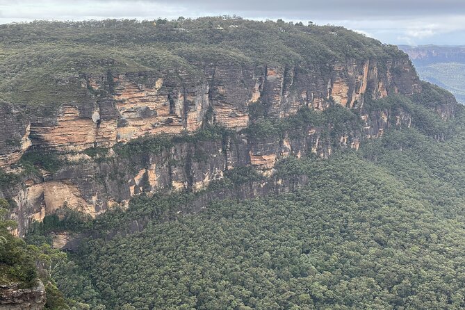 Ultimate All Inclusive Blue Mountains with Scenic World Tour - Scenic World: the rides and rainforest walk that make this tour feel complete