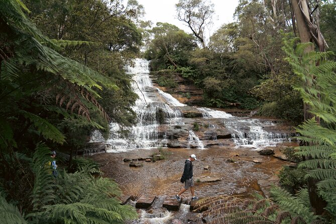 Ultimate All Inclusive Blue Mountains with Scenic World Tour - Guides, timing, and small details that affect your comfort