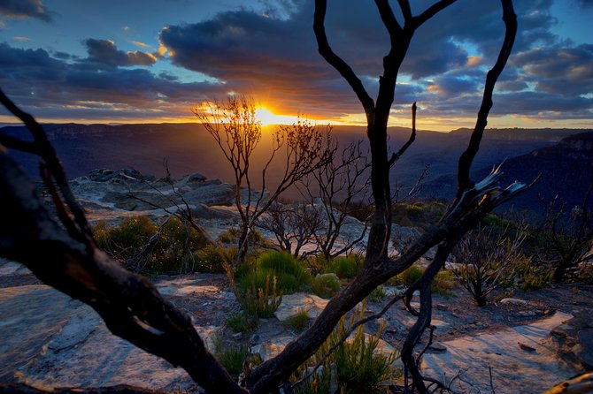 Ultimate Blue Mountains and Wildlife Tour - Key Things I’d Bank On Before You Go