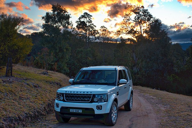 Ultimate Blue Mountains and Wildlife Tour - Glenbrook in the Blue Mountains National Park: Where You Look, Not Just Stare
